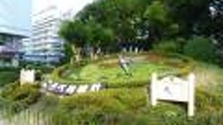 夏場は緑系の色が多いかな？