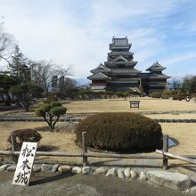 「松本城」の看板を入れて