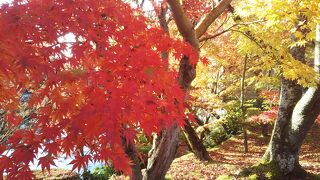 紅葉の時期はものすごい人