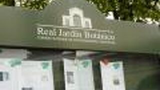 花は少なめでしたが、それでもきれいでした