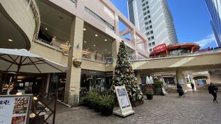 ランチで利用！