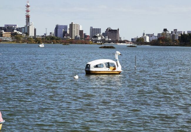 千波湖 クチコミ アクセス 営業時間 水戸 フォートラベル
