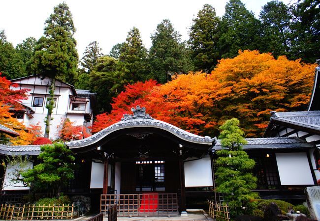 下呂温泉の寺 神社 クチコミ人気ランキングtop10 フォートラベル 岐阜県