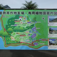 亜熱帯作物支場の中にあります。