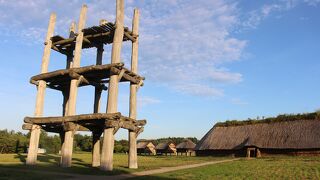 青森市一の観光スポット