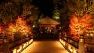 紅葉ライトアップはきれいでした