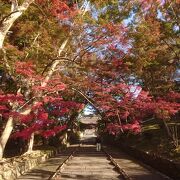 アクセスは悪いですが、紅葉は綺麗でした。