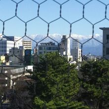 立山連峰が見れました