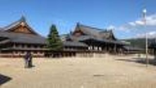 スケールが大きい！