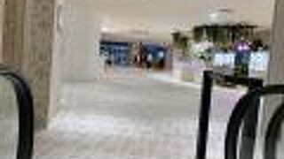 初めて行ってきました！