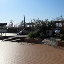 12月なのに花がいっぱいの植え込み、その向こうから…