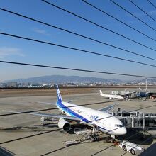 飛行機好きにはたまらない場所です