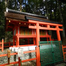 紀伊神社の背後の春日山原始林