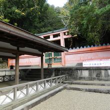 若宮神社の背後の春日山原始林
