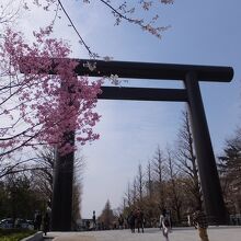一の鳥居から境内方向