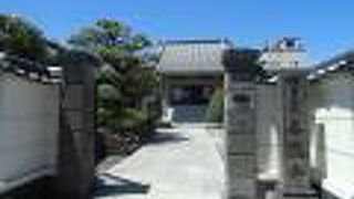 本堂前のしだれ梅は春が楽しみ