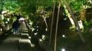 高台寺観光とセットで