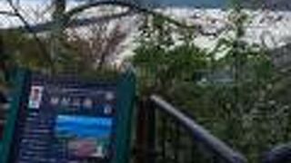 ビューランドとはまた違った景色