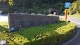 舟屋の景色が見れます