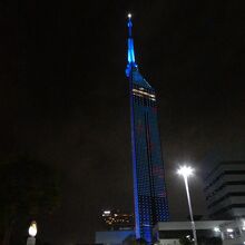 今年の夏は何のイルミネーションかな？