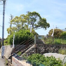 こんな感じの公園です