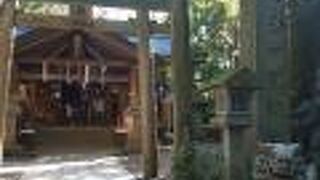 千本鳥居の途中に