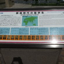 中には帰化して戻って来なかった人もいるんですね？