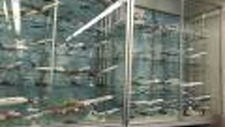 飛行機が好きな人なら何時間いても飽きない