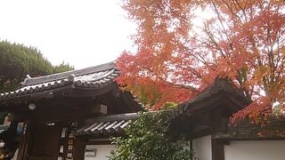 紅葉はちょい遅かった