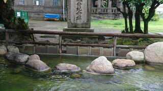 あまり目立ちません