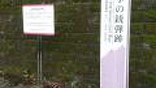 すさまじい戦闘の様子