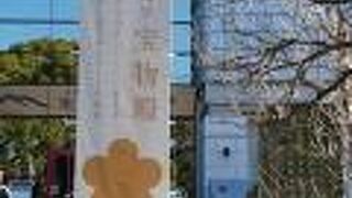 菅原道真ゆかりの貴重な品々