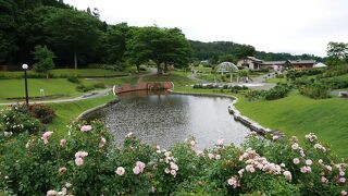 広大なバラ園