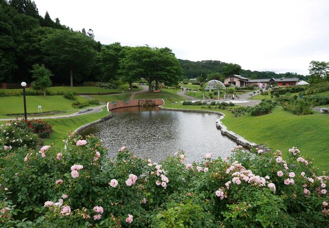 広大なバラ園