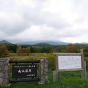 利尻島最大の湿原