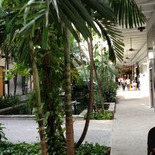 高級感あるショッピングセンター