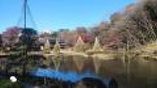 無料で鑑賞できる回遊式庭園