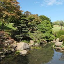 日本庭園風の池