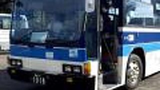 市内移動や郊外の観光まで便利な足。