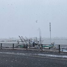 目の前は鳥取港