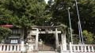 歴史深い神社で、はじまりは天智天皇の時代まで遡ります。