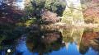 紅葉の進む庭園