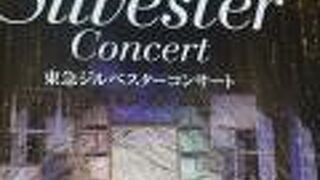 ２０２０－２０２１　ジルベスタ―・コンサートに行きました