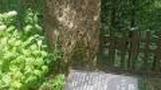 高千穂の景色をうたった句が刻まれています