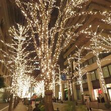 イルミネーション