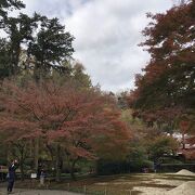 紅葉と花菖蒲の季節だけ特別公開