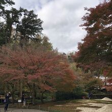 庭園の紅葉