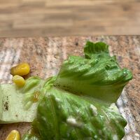 Mud on romaine lettuce