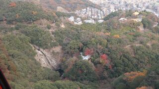 ハーブ園ロープウェイから