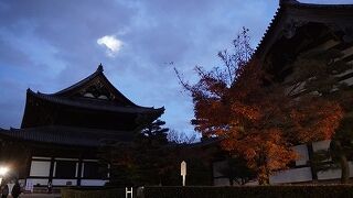 紅葉のライトアップの穴場